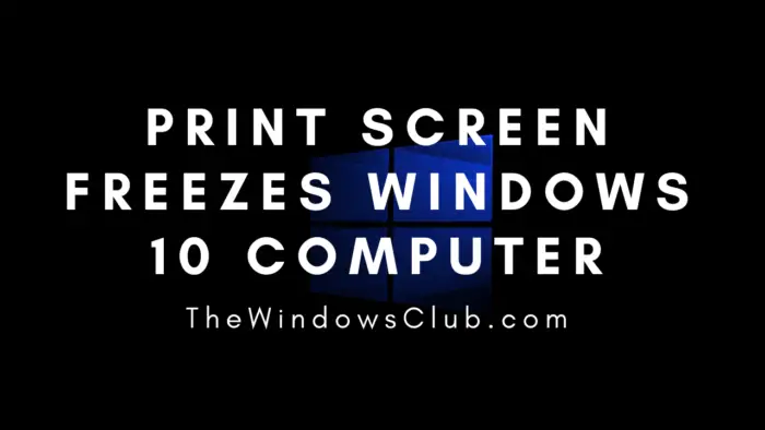 Print screen freezes Windows 10 computer