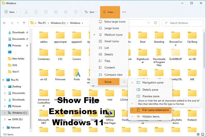 Show File Extensions in Windows 11