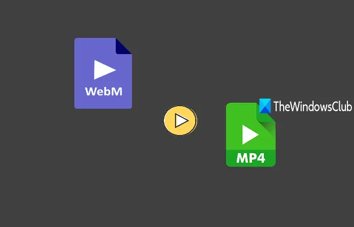 WebM to MP4 converter software