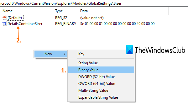 create DetailsContainerSizer Binary Value