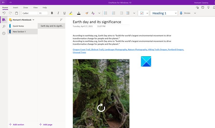 Pin on a OneNote page
