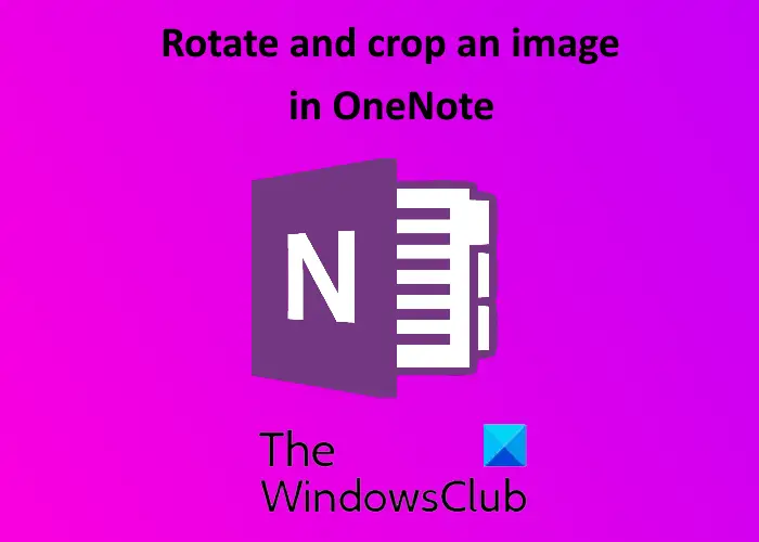 rotate crop picture in OneNote