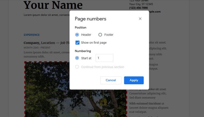 How to add Page Numbers in Google Docs