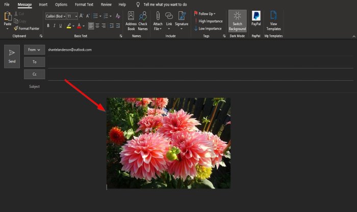 insert Picture, Graphics and Shapes in the Outlook email body