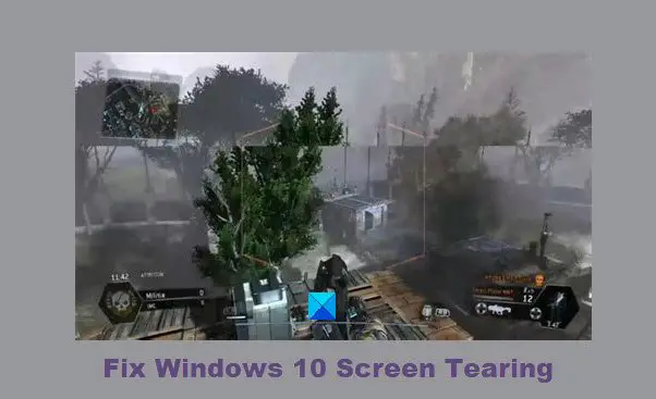 Windows 10 Bildschirmriss
