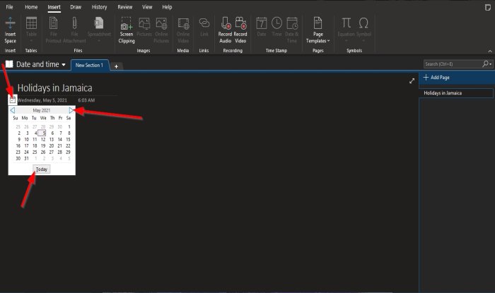How to insert Date and Time in OneNote - 9