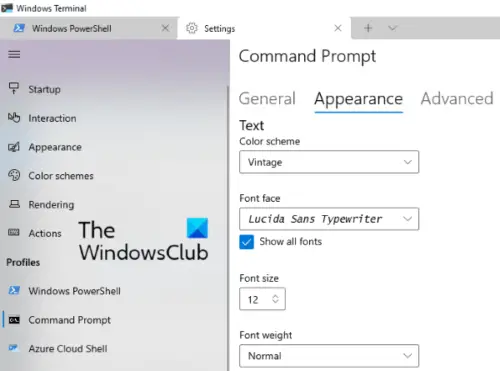 customize windows terminal fonts
