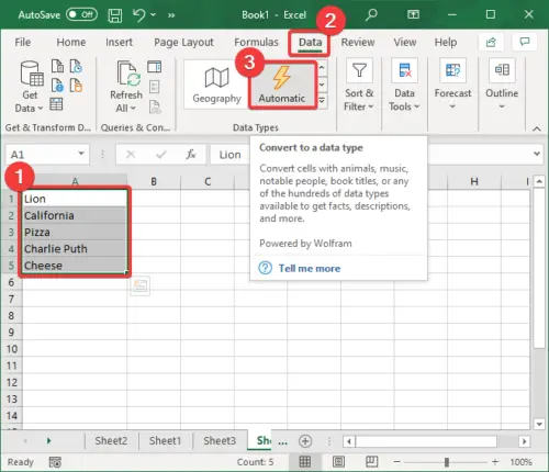 Automatic Data Type feature in Excel