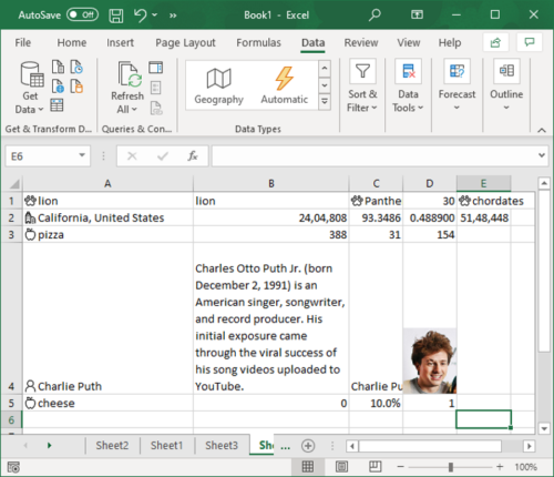 How to use Automatic Data Type Feature in Excel