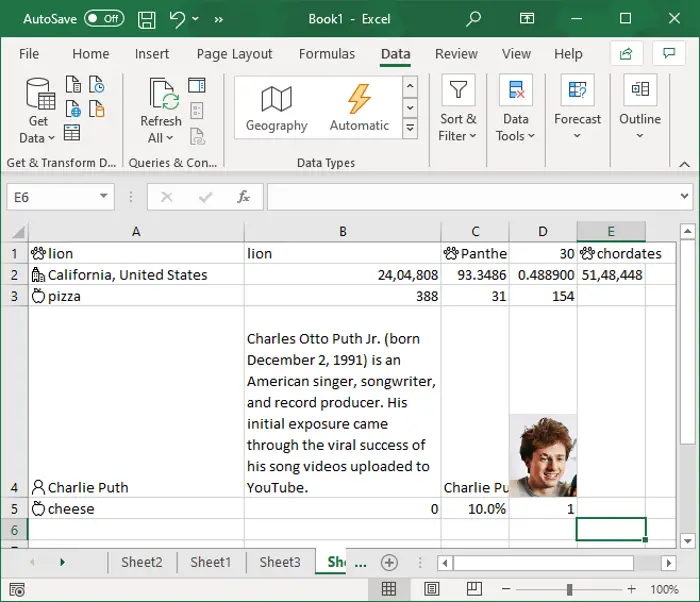 How to use Automatic Data Type Feature in Excel