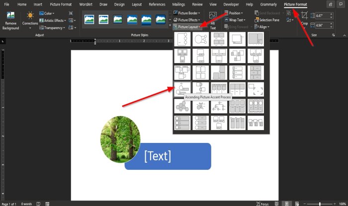 convert a Picture to a SmartArt graphic in Word