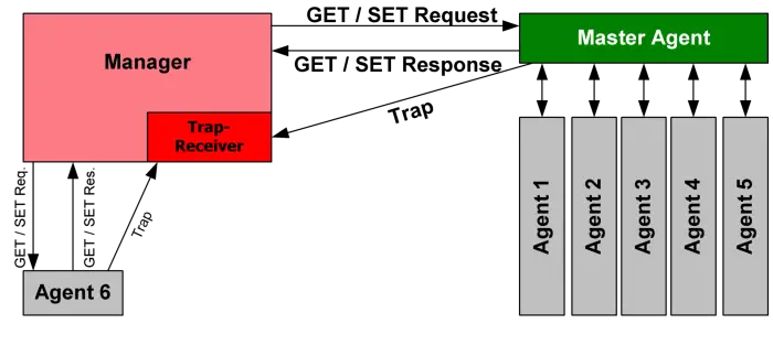 What are NTP and SNMP network protocols