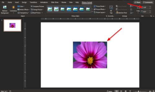 How To Change A Picture Without Losing The Size And Position In PowerPoint