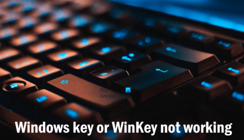 Windows key or WinKey not working on Windows 11/10