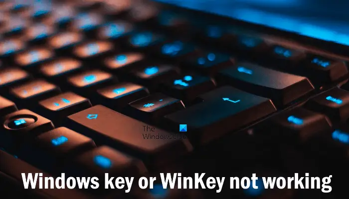 Windows key or WinKey not working
