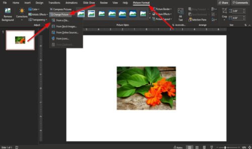 How to change a Picture without losing the size and position in PowerPoint