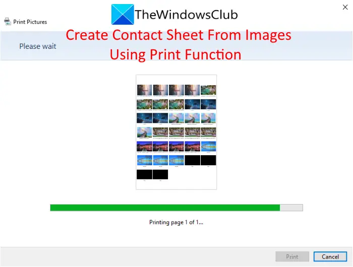 Flad Retaliate Udelade How to print a Contact Sheet of Photos in Windows 11/10