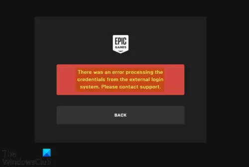 Epic Games Launcher login errors