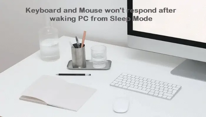 Keyboard and Mouse won't respond after waking PC from Sleep Mode