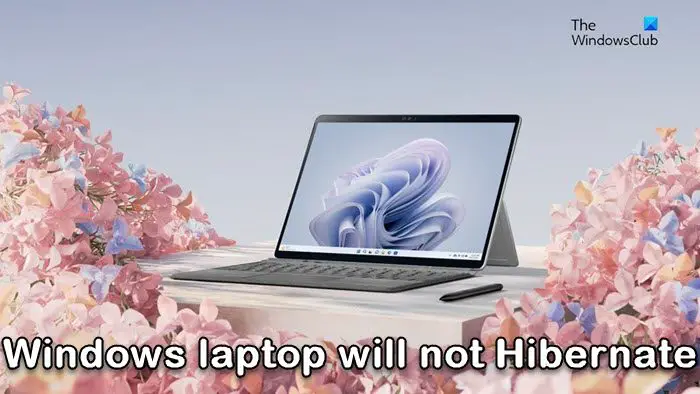 Windows laptop will not Hibernate