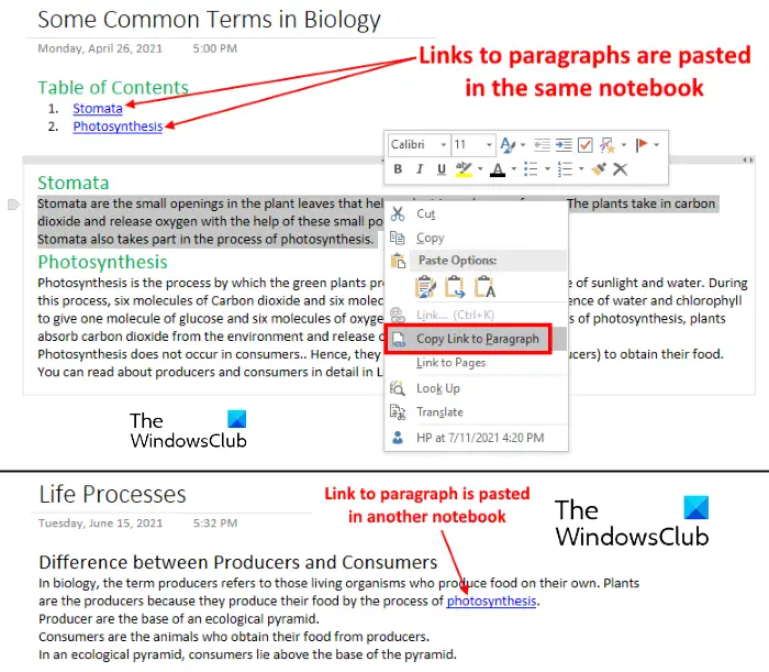 how to create links in OneNote