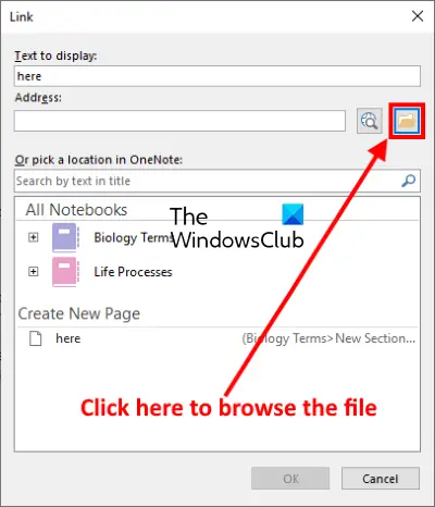 how to link file in OneNote