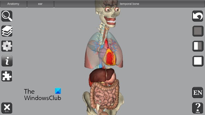 3D Bones and Organs anatomy software