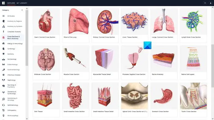 BioDigital anatomy web app