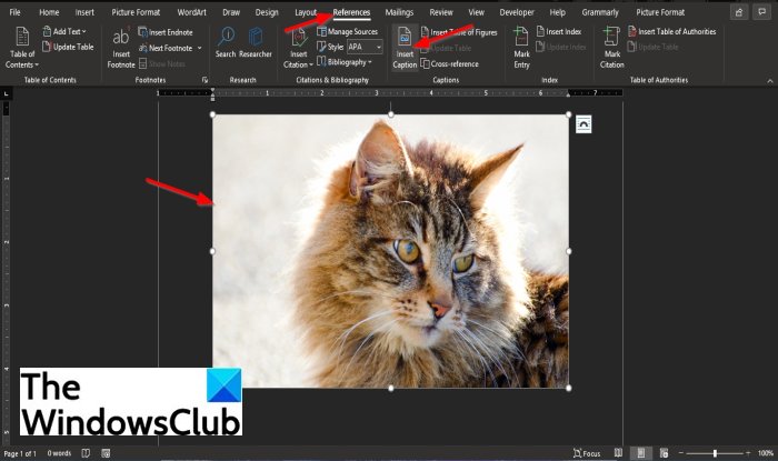 How to add a Caption in Word