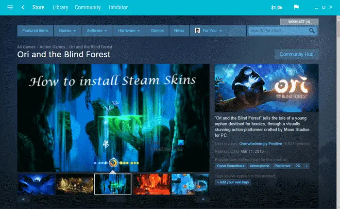 How to install Steam Skins