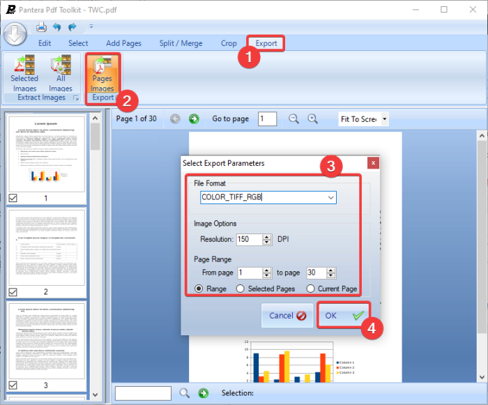 How to convert PDF document to a multipage TIFF image in Windows