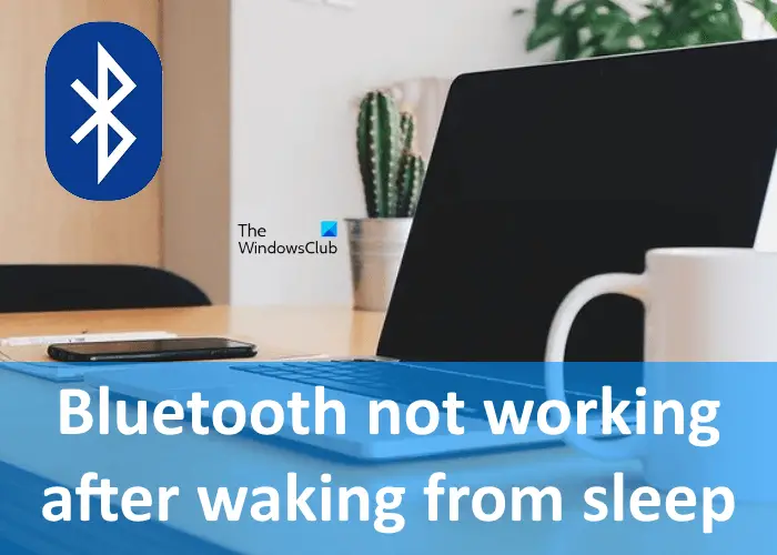 Bluetooth not working waking from sleep