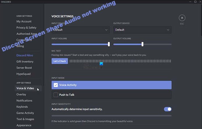 Discord Screen Share Audio not working