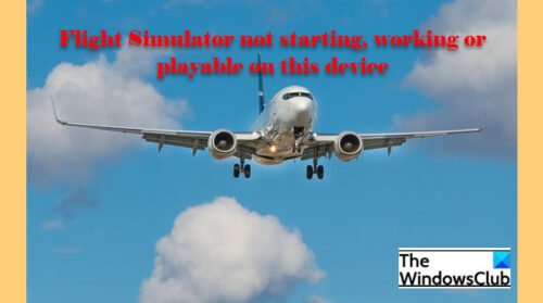 Flight Simulator Not Working Launching Loading Or Playable
