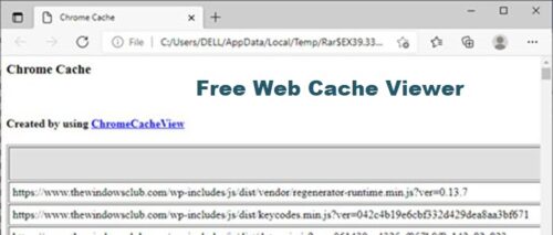 Free Web Cache Viewer
