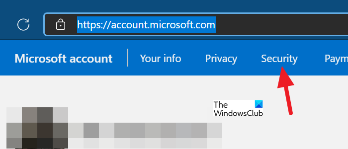 Microsoft Account Security