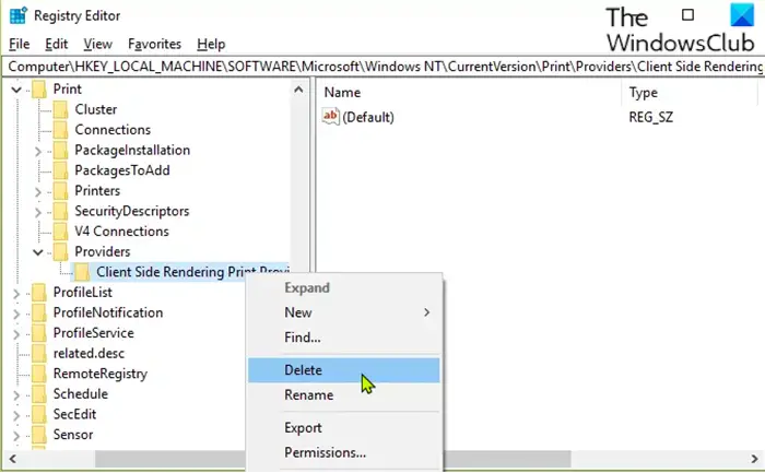 Modify the registry-Client Side Rendering Print Provider