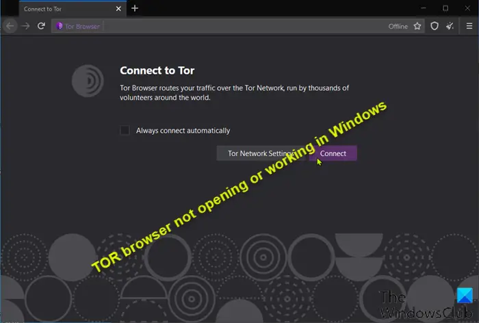 не запускается tor browser в windows 10 hydra
