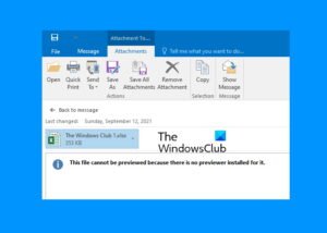 OUTLOOK PDF PREVIEW ERROR THIS FILE CANNOT BE PREVIEWED BECAUSE THERE visual data 8