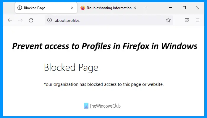 prevent access to profiles firefox