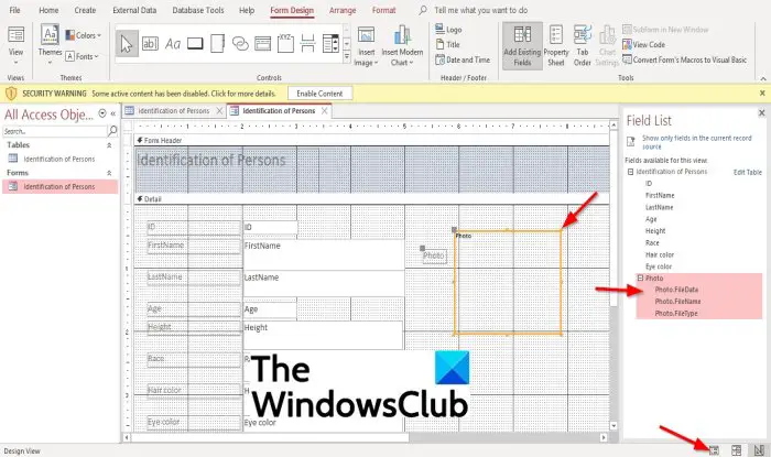 How to insert Picture in Access form