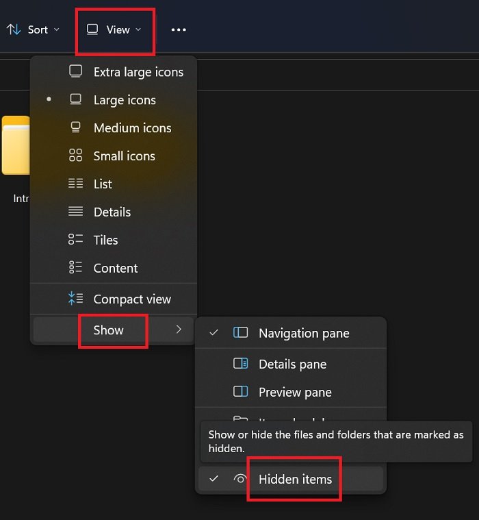 File Explorer not showing files even though they exist on Windows 11