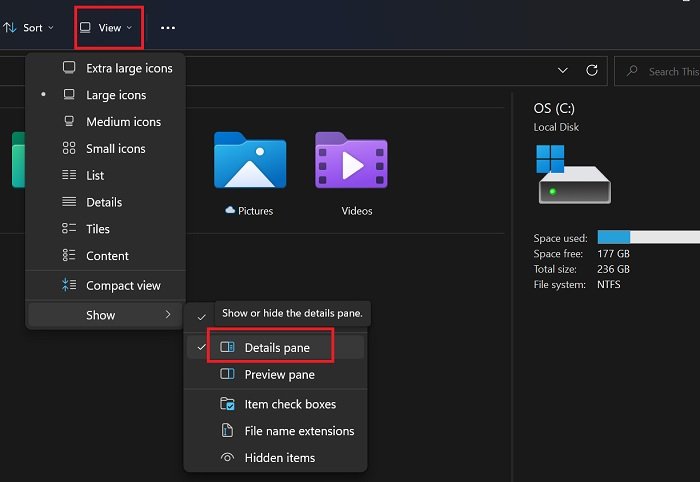 How to show Details pane in File Explorer of Windows 11