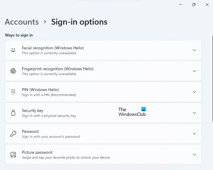 Windows 11 sign-in options