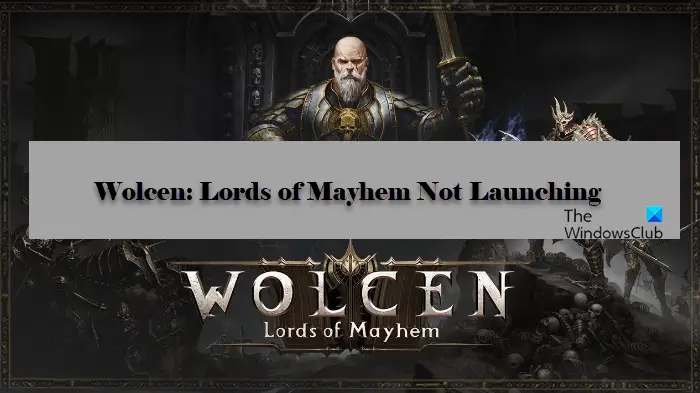 Wolcen: Lords of Mayhem Not Launching
