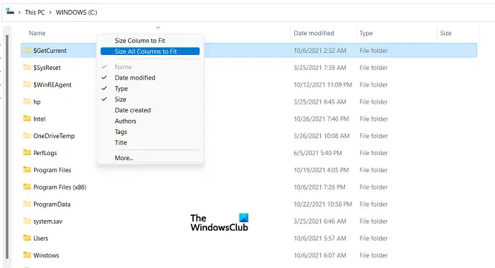 change the column width size of File Explorer