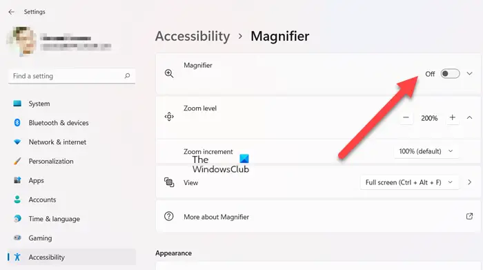 Disable Magnifier