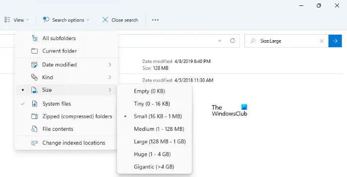 find largest files using Search options