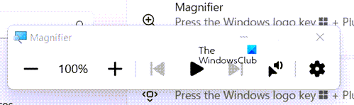 Magnifier Controls