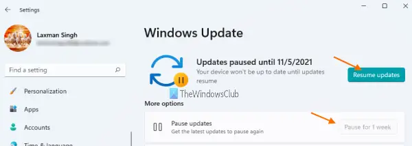 pause updates in windows 11
